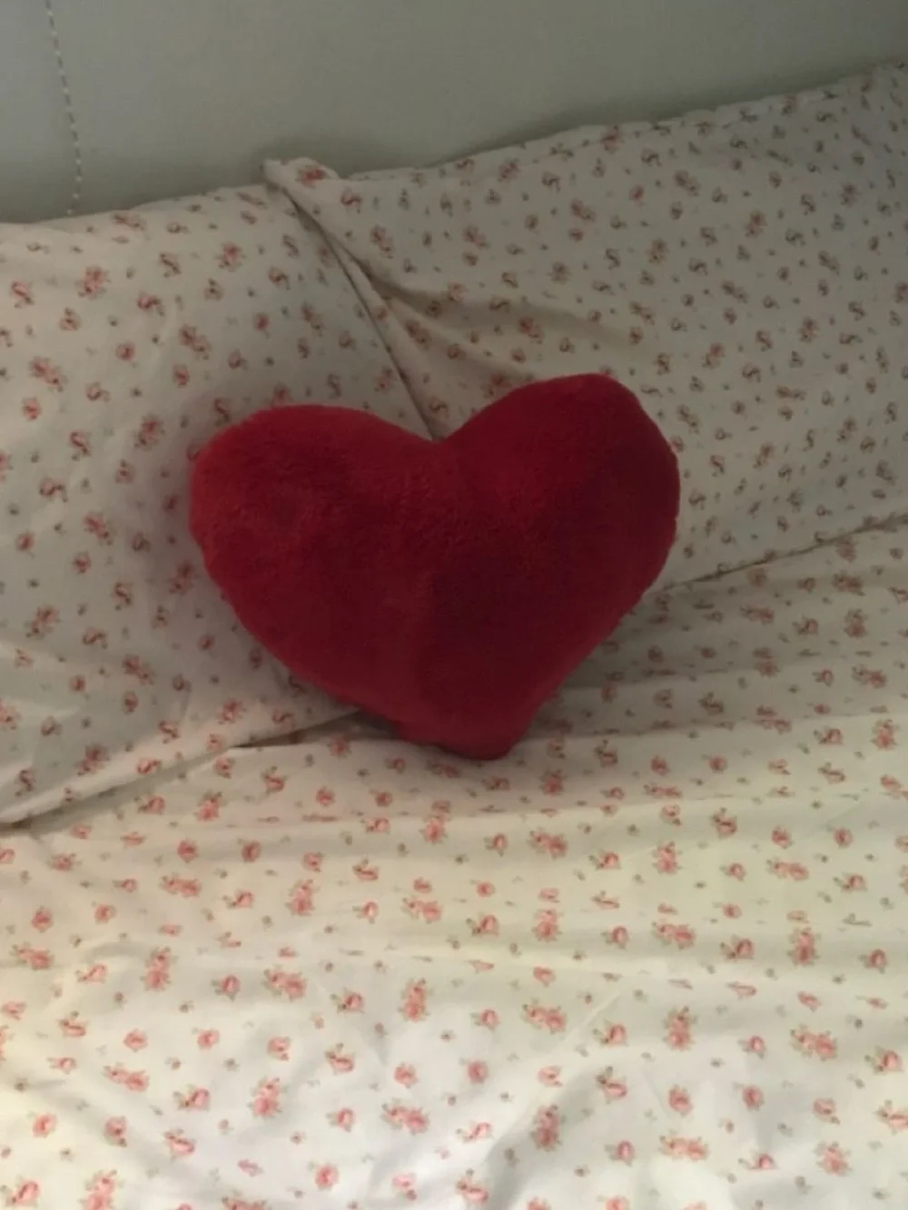 Heart-Shaped Plush Accent Pillow in Red